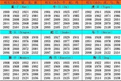 1982年五行|1982 年出生属什么生肖